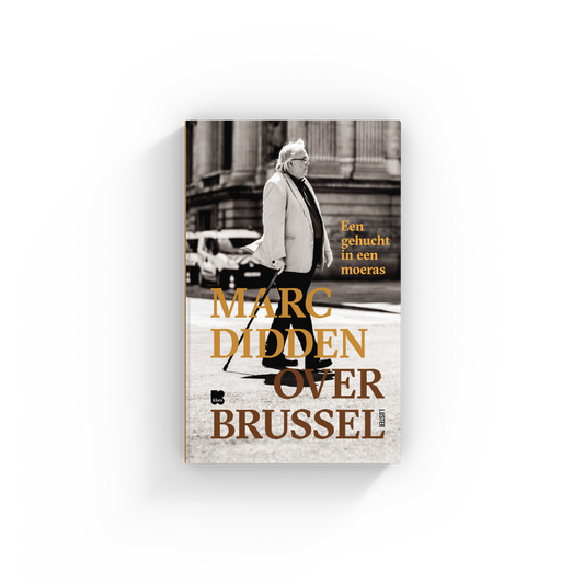 Een gehucht in een moeras